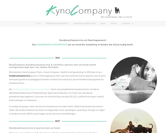 Kyno Company Logo
